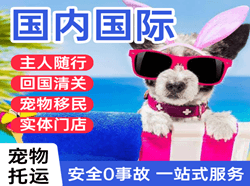 敦煌莫高航空物流国际宠物托运 【国